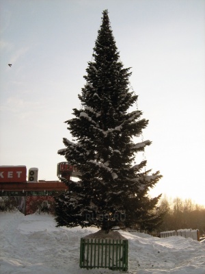 �������, ����� ���������� � ������ ������