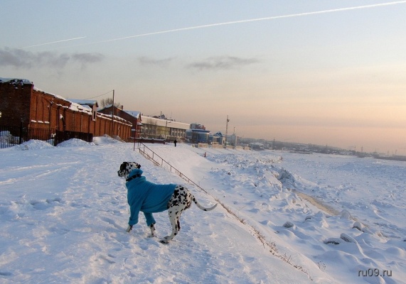 �������, ����� ���������� � ������ ������