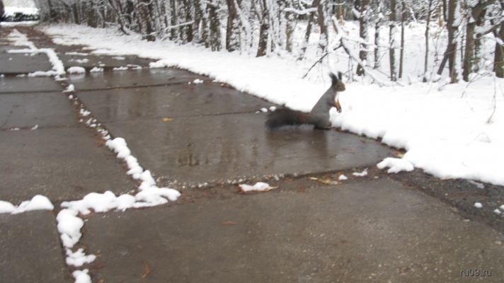 �������, ����� ���������� � ������ ������