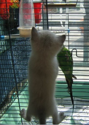 �������, ����� ���������� � ������ ������