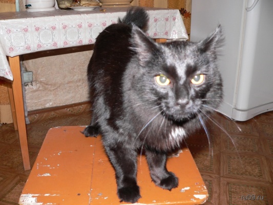 �������, ����� ���������� � ������ ������