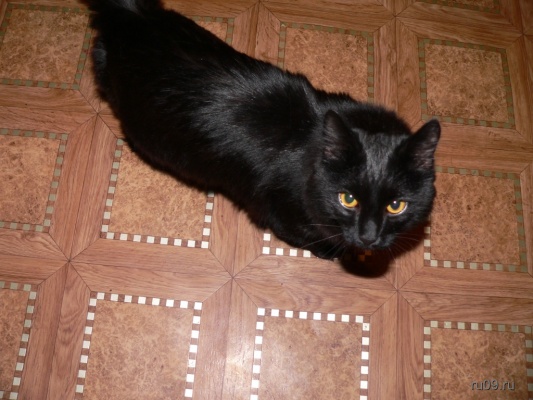 �������, ����� ���������� � ������ ������