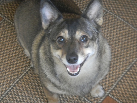 �������, ����� ���������� � ������ ������