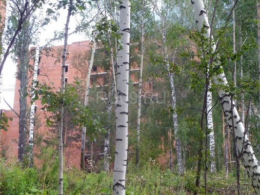 �������, ����� ���������� � ������ ������