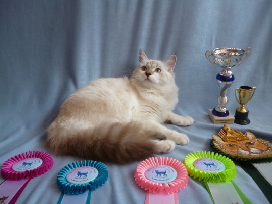 �������, ����� ���������� � ������ ������