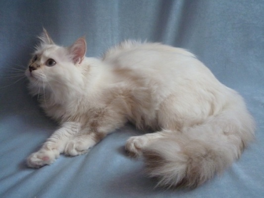 �������, ����� ���������� � ������ ������